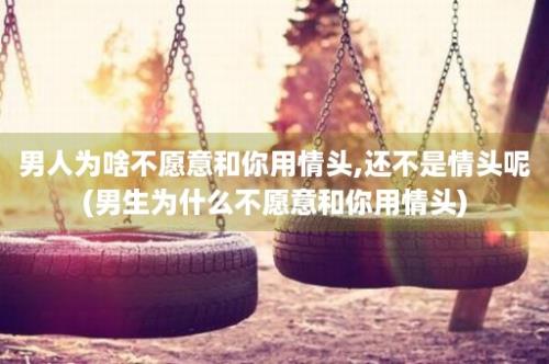 男人为啥不愿意和你用情头,还不是情头呢(男生为什么不愿意和你用情头)