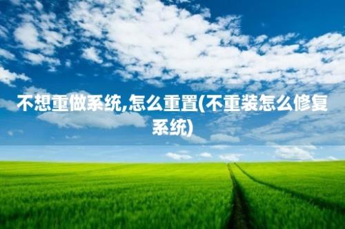 不想重做系统,怎么重置(不重装怎么修复系统)