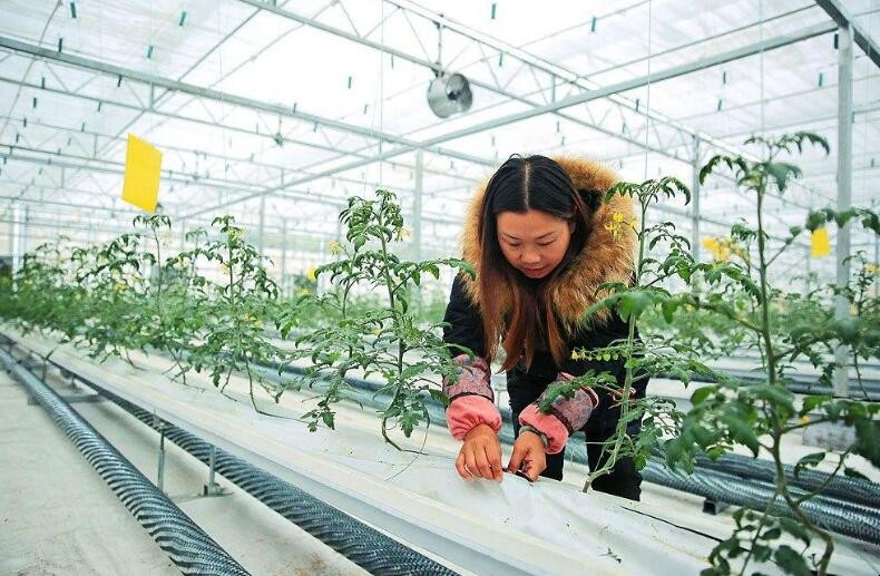 科技扶贫可以报哪些需求