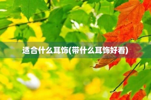 适合什么耳饰(带什么耳饰好看)