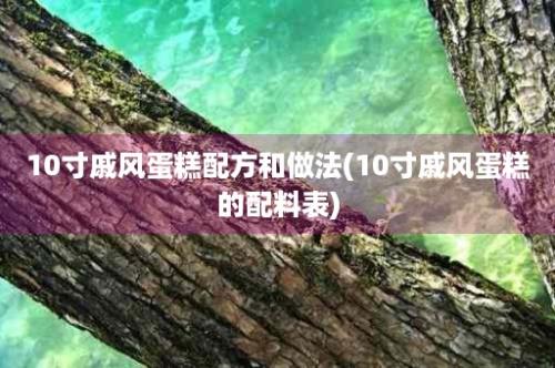 10寸戚风蛋糕配方和做法(10寸戚风蛋糕的配料表)