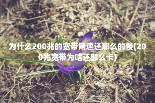 为什么200兆的宽带网速还那么的慢(200兆宽带为啥还那么卡)