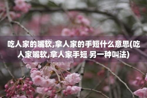 吃人家的嘴软,拿人家的手短什么意思(吃人家嘴软,拿人家手短 另一种叫法)