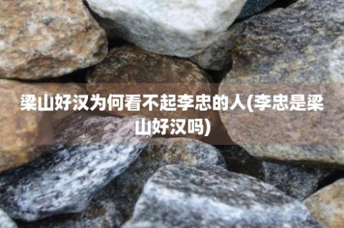 梁山好汉为何看不起李忠的人(李忠是梁山好汉吗)