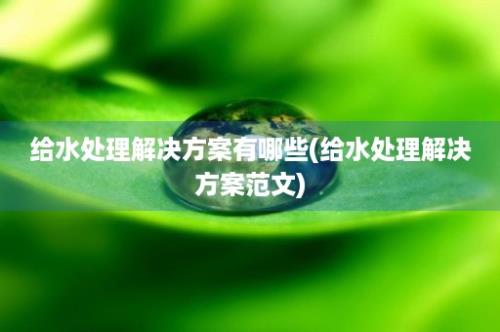 给水处理解决方案有哪些(给水处理解决方案范文)