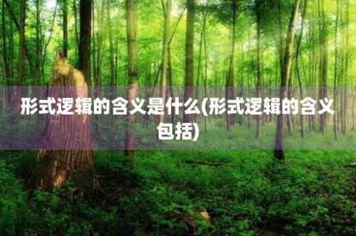 形式逻辑的含义是什么(形式逻辑的含义包括)