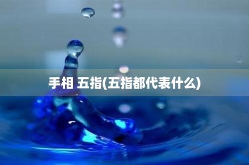 手相 五指(五指都代表什么)