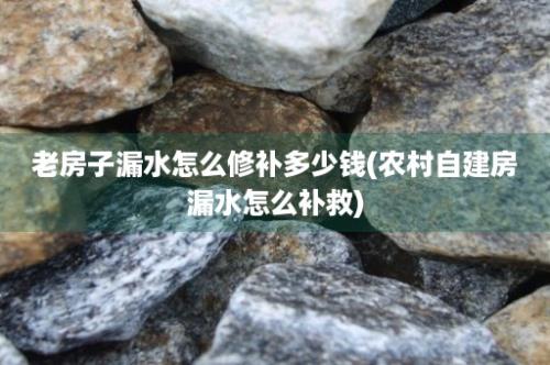 老房子漏水怎么修补多少钱(农村自建房漏水怎么补救)