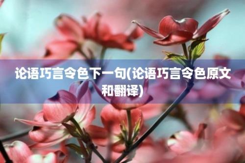 论语巧言令色下一句(论语巧言令色原文和翻译)