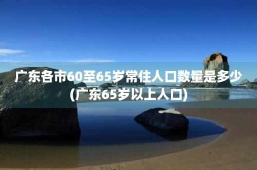 广东各市60至65岁常住人口数量是多少(广东65岁以上人口)