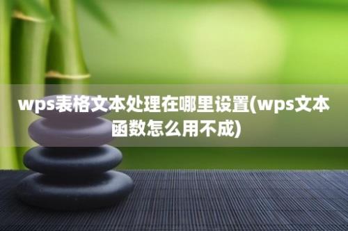 wps表格文本处理在哪里设置(wps文本 函数怎么用不成)