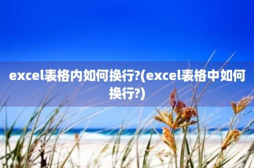 excel表格内如何换行?(excel表格中如何换行?)