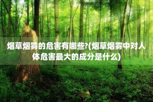 烟草烟雾的危害有哪些?(烟草烟雾中对人体危害最大的成分是什么)