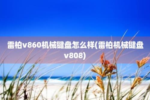 雷柏v860机械键盘怎么样(雷柏机械键盘v808)