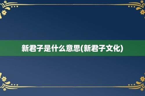 新君子是什么意思(新君子文化)