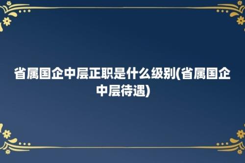 省属国企中层正职是什么级别(省属国企中层待遇)