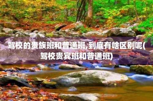 驾校的贵族班和普通班,到底有啥区别呢(驾校贵宾班和普通班)