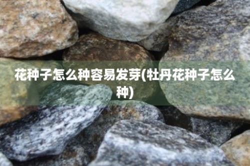 花种子怎么种容易发芽(牡丹花种子怎么种)