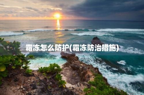 霜冻怎么防护(霜冻防治措施)