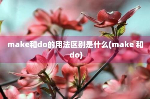 make和do的用法区别是什么(make 和 do)