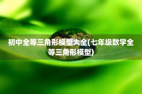 初中全等三角形模型大全(七年级数学全等三角形模型)