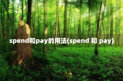 spend和pay的用法(spend 和 pay)