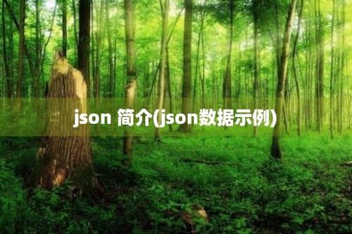 json 简介(json数据示例)