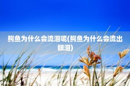 鳄鱼为什么会流泪呢(鳄鱼为什么会流出眼泪)