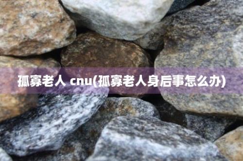 孤寡老人 cnu(孤寡老人身后事怎么办)