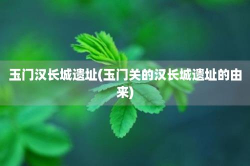 玉门汉长城遗址(玉门关的汉长城遗址的由来)