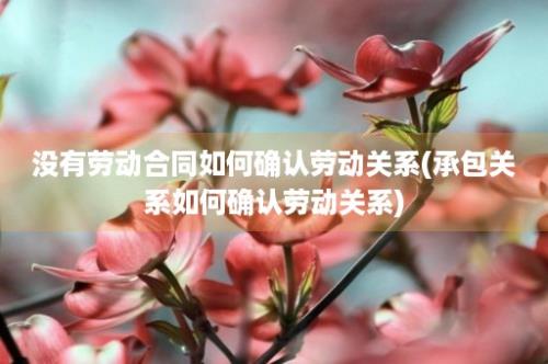 没有劳动合同如何确认劳动关系(承包关系如何确认劳动关系)