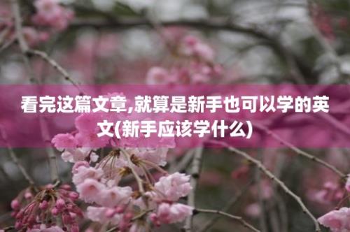 看完这篇文章,就算是新手也可以学的英文(新手应该学什么)