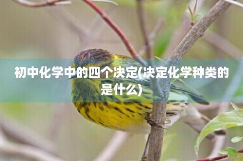 初中化学中的四个决定(决定化学种类的是什么)