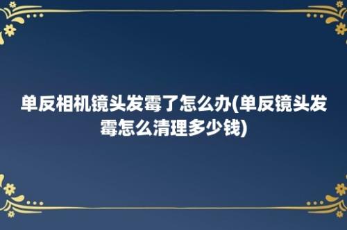 单反相机镜头发霉了怎么办(单反镜头发霉怎么清理多少钱)