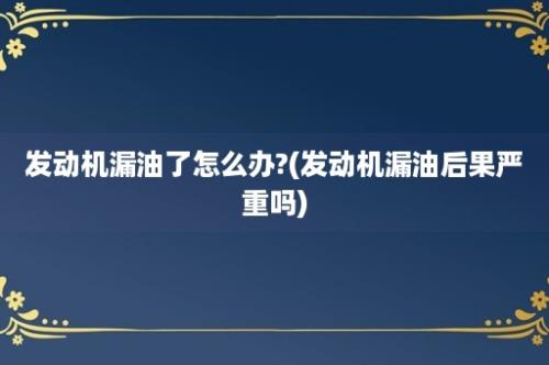 发动机漏油了怎么办?(发动机漏油后果严重吗)