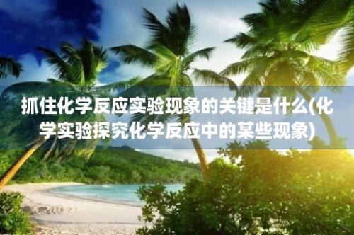 抓住化学反应实验现象的关键是什么(化学实验探究化学反应中的某些现象)