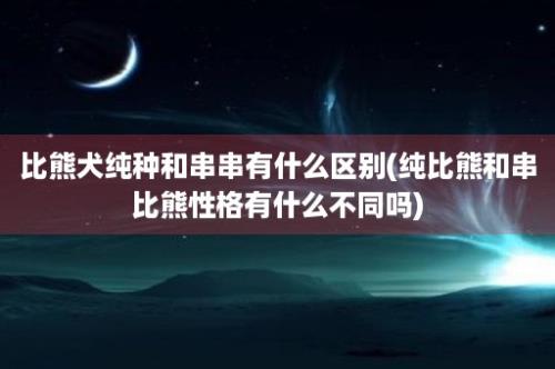 比熊犬纯种和串串有什么区别(纯比熊和串比熊性格有什么不同吗)