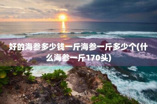 好的海参多少钱一斤海参一斤多少个(什么海参一斤170头)