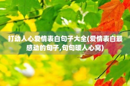 打动人心爱情表白句子大全(爱情表白最感动的句子,句句暖人心窝)