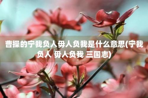 曹操的宁我负人毋人负我是什么意思(宁我负人 毋人负我 三国志)