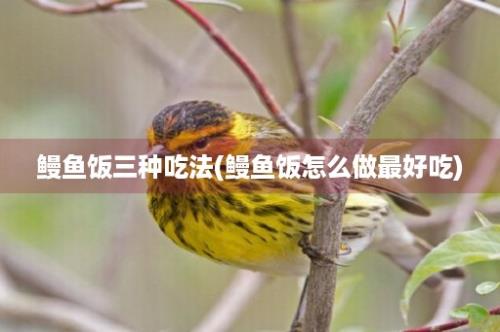 鳗鱼饭三种吃法(鳗鱼饭怎么做最好吃)