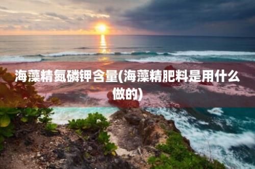 海藻精氮磷钾含量(海藻精肥料是用什么做的)