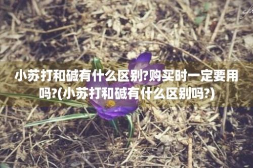 小苏打和碱有什么区别?购买时一定要用吗?(小苏打和碱有什么区别吗?)