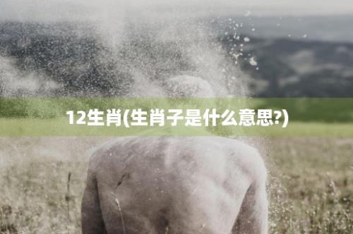 12生肖(生肖子是什么意思?)