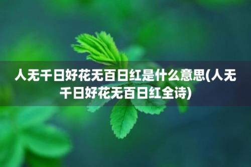 人无千日好花无百日红是什么意思(人无千日好花无百日红全诗)