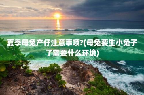 夏季母兔产仔注意事项?(母兔要生小兔子了需要什么环境)