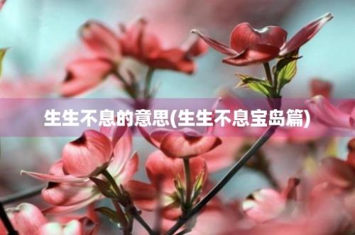 生生不息的意思(生生不息宝岛篇)