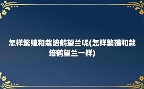 怎样繁殖和栽培鹤望兰呢(怎样繁殖和栽培鹤望兰一样)