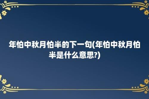 年怕中秋月怕半的下一句(年怕中秋月怕半是什么意思?)