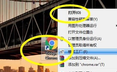 google浏览器